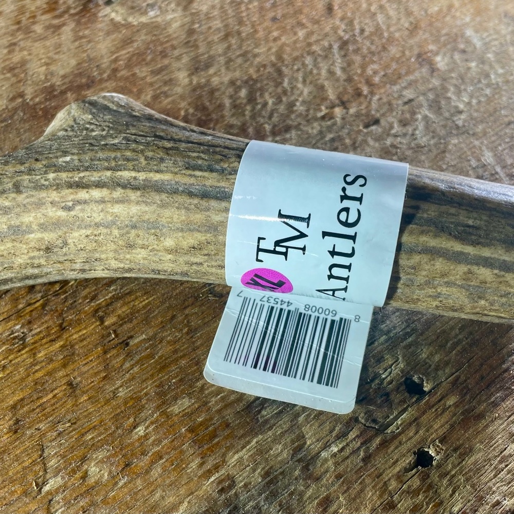 Elk Antler Whole Dog Chew - Size XL